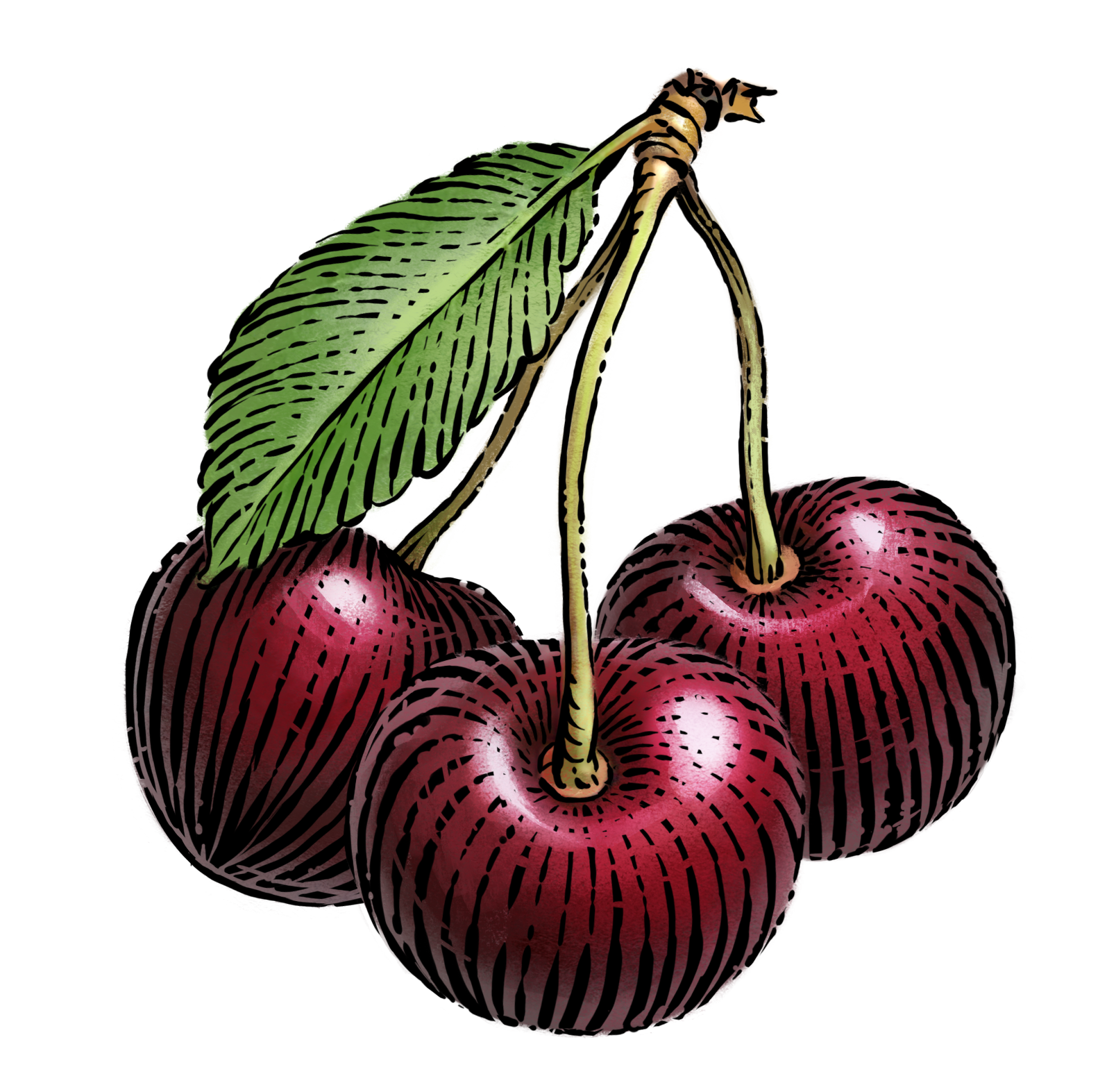 Black-cherry-v2red.png?v=