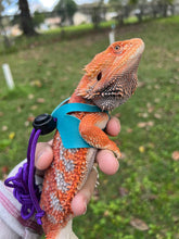Load image into Gallery viewer, Lizard Harness - Baby Size 50-75g
