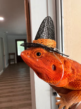 Load image into Gallery viewer, Witch’s Hat