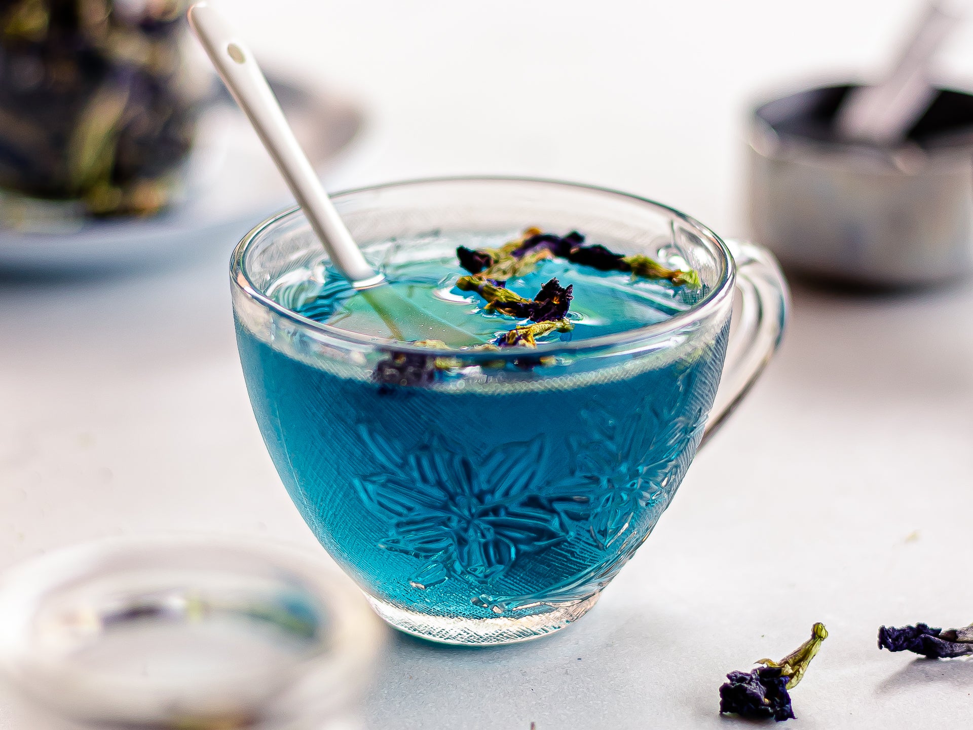 blue butterfly pea flower seeds Blue Butterfly Pea Flower Seeds – BeardedDragon.co