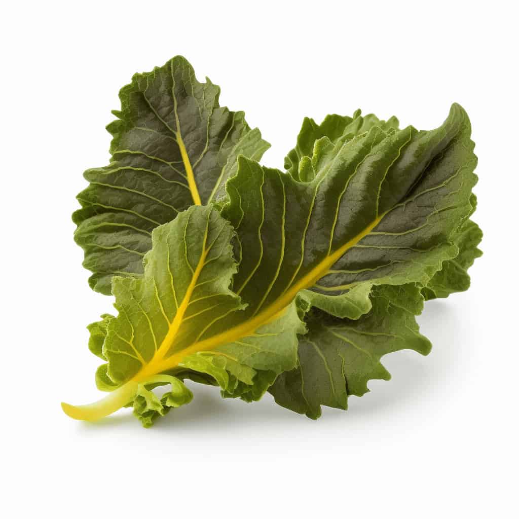 Mustard Greens Plant Seeds