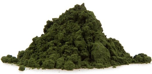 Spirulina Powder